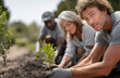 © visoot - Group planting tree outdoors teamwork environmental conservation nature soil green community happy volunteer spring