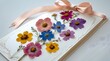 © Filmify - Handmade Pressed Flower Greeting Card Colorful Cosmos & Delicate Floral Design