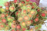 rambutan put up for sale