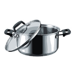 Stainless steel stock pot with glass lid and handles