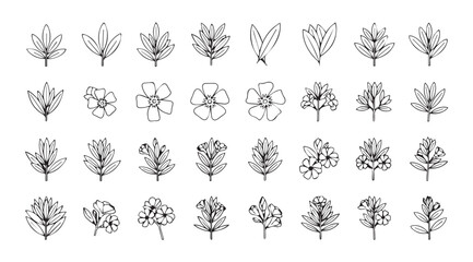 Collection of hand drawn botanical plant silhouettes in a grid layout