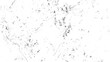 © VECTOR HOUSE - Black and white rough distressed texture overlay vector. Abstract grunge background.