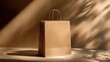 © Zarana  - ultra puality image Beige Paper Shopping Bag Mockup with Sunlight Shadows.