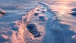 © Pitch Aya - Footprints in the Snow Winter Landscape Nature Photography Frozen Environment Eye-Level View Tranquility