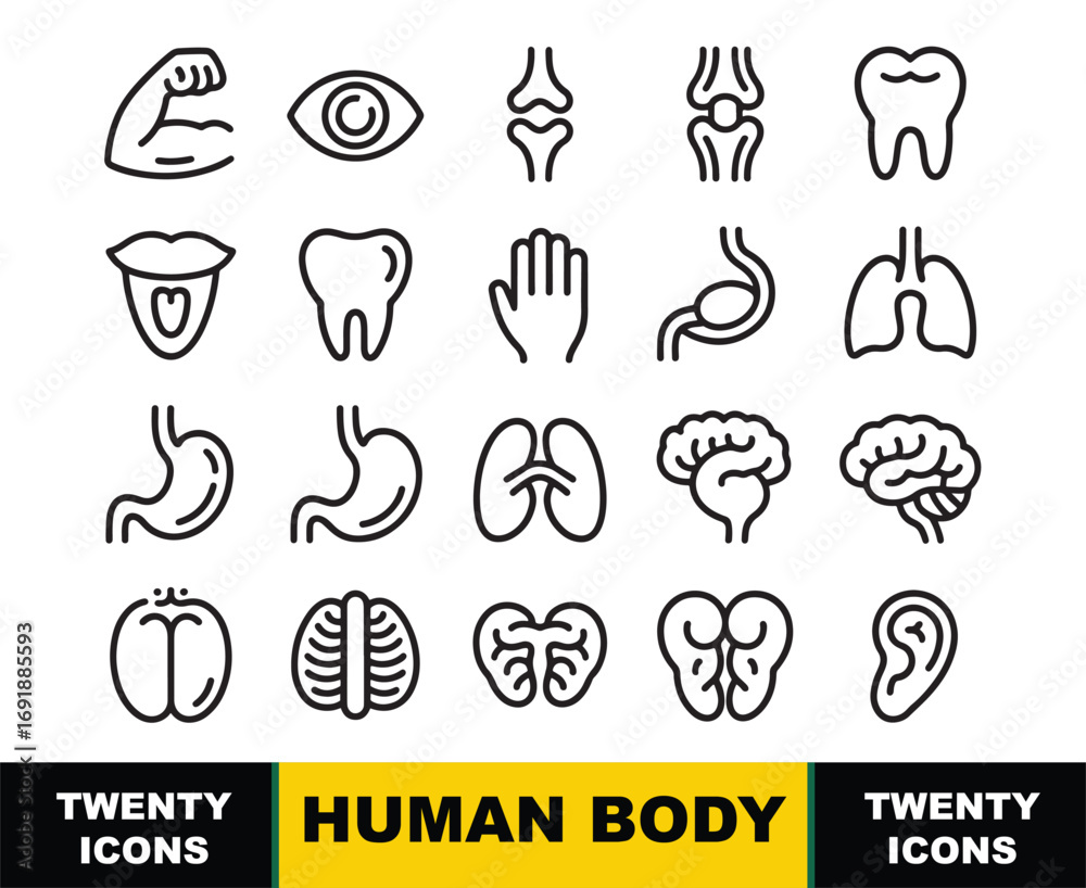 Collection of black outline icons representing human body organs and ...