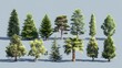 © Khorshada - Collection of diverse coniferous and deciduous trees rendered in realistic 3d models on a neutral background