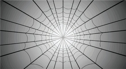Intricate spider web pattern creating a radial tunnel effect with dramatic light
