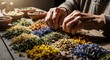 © Buddhi - Mexican Elder Preparing Herbal Remedies at Home