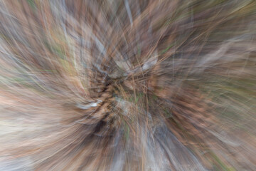 abstract nature