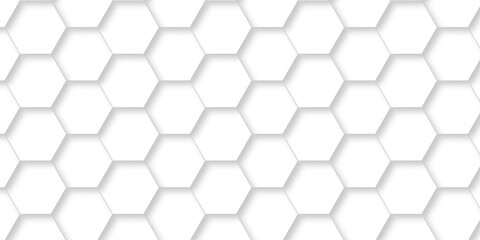 Wall Mural - Abstract pattern hexagonal white technology line paper background. Hexagonal grid tile mosaic structure mess cell design. white and gray hexagon honeycomb football geometric copy space business text.	