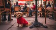 © Wahyu - Cute Small Dog Wearing Red Sweater Sitting Outdoors at Cafe