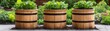 © Design@22 - Wooden Barrel Planters with Greenery, Garden Decor ,Container Gardening