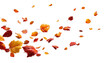 © ahmad - Falling autumn leaves against black background