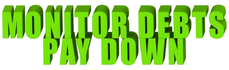 Wall Mural - Monitor Debts Pay Down , 3d text