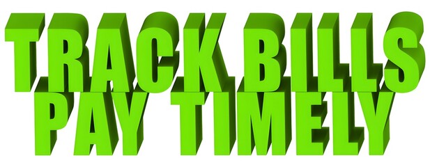 Wall Mural - Track Bills Pay Timely , 3d text