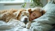 © ProPhotos - Heartwarming scene unfolds as a girl and her dog lie comfortably on a bed, embodying the essence of companionship and comfort.