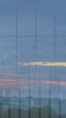 Wall Mural - animation of statistical data processing over aerial view of sunset sky and forest
