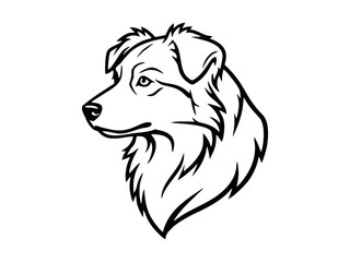 Wall Mural - vector isolated one single aussie australian shepherd dog head portrait front view black and white b