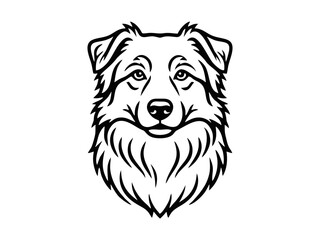 Wall Mural - vector isolated one single aussie australian shepherd dog head portrait front view black and white b