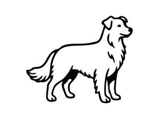 Wall Mural - vector isolated one single aussie australian shepherd dog head portrait front view black and white b