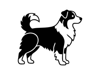 Wall Mural - vector isolated one single aussie australian shepherd dog head portrait front view black and white b