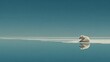 © Rosdiana - Solitary polar bear on a sliver of ice, reflecting in calm water. Vast expanse of blue sky and water