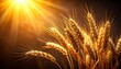 © Nashihal - Wheat stalks with golden light behind them against a dark background, warm glow, earthy, harvest