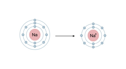 Sodium ion. Cation Structure, positively charged ion. Scientific Design. Vector Illustration.