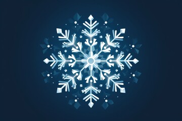 Canvas Print - snowflake winter illuminated celebration.