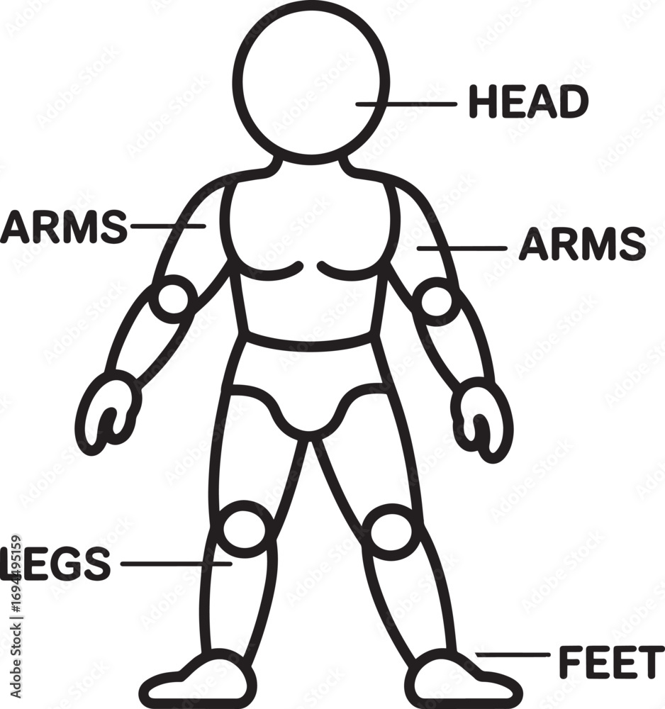 Human Body Anatomy Diagram with Labeled Parts for Educational Purposes ...