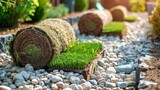 Comprehensive guide to installing rolled sod for a beautiful, lush garden landscape