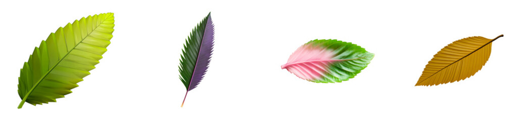 Wall Mural - Variety of Colorful Leaf Shapes Isolated on Transparent Background, cut out
