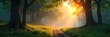 © Parima - Serene woodland scene at sunrise, dappled sunlight filtering through ancient trees, mist clinging to the valley floor, creating a magical atmosphere , calm, ecology
