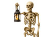 © ArtBox - Skeleton holding lighted lantern on transparent background