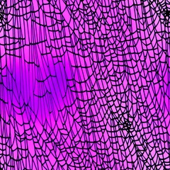 spider web