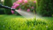 © Viktor - Close-up of garden hose nozzle spraying weed killer onto lush green grass. Blooming flowers and bushes in background. Lawn maintenance, agriculture, pest control application, turf care.