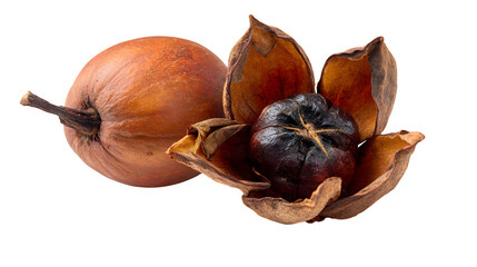 Brown textured pecan displays its dark core, perfect for product photography, branding, or social media use.