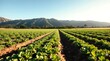 © Anggi - Vibrant green vegetable rows stretch toward majestic mountains under a sunny sky for a fresh, healthy lifestyle