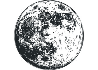 Wall Mural - Full moon celestial body with detailed surface texture on transparent background. Vector hand drawn illustration