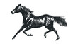 © Maestro - Running horse silhouette made of dots on transparent background. Vector hand drawn illustration