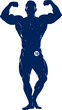 © creative - bodybuilder silhouette peak condition, ultimate strength, champions pose, isolated on transparent background