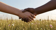 © Nimker harva - Diverse hands shaking in a sunlit field, symbolizing unity, partnership, and agreement
