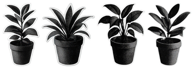 Wall Mural - monochrome potted plant illustrations
