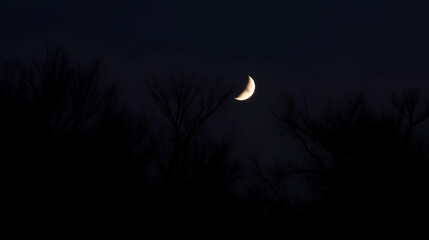 New Moon March Serene night view of crescent moon above silhouetted bare trees