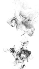 Wall Mural - fluid smoke wisps flow on white background loop