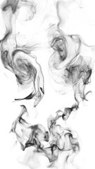 Wall Mural - fluid smoke wisps flow on white background loop