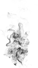 Wall Mural - looped smoke wisps rising on white background