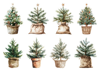 Wall Mural - png rustic miniature christmas trees collection, element set on transparent background