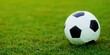 © Artem - A soccer ball on a bright green field, a symbol of sports and recreation.