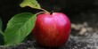 © Artem - A beautiful, ripe red apple with a fresh green leaf, ready to be enjoyed.